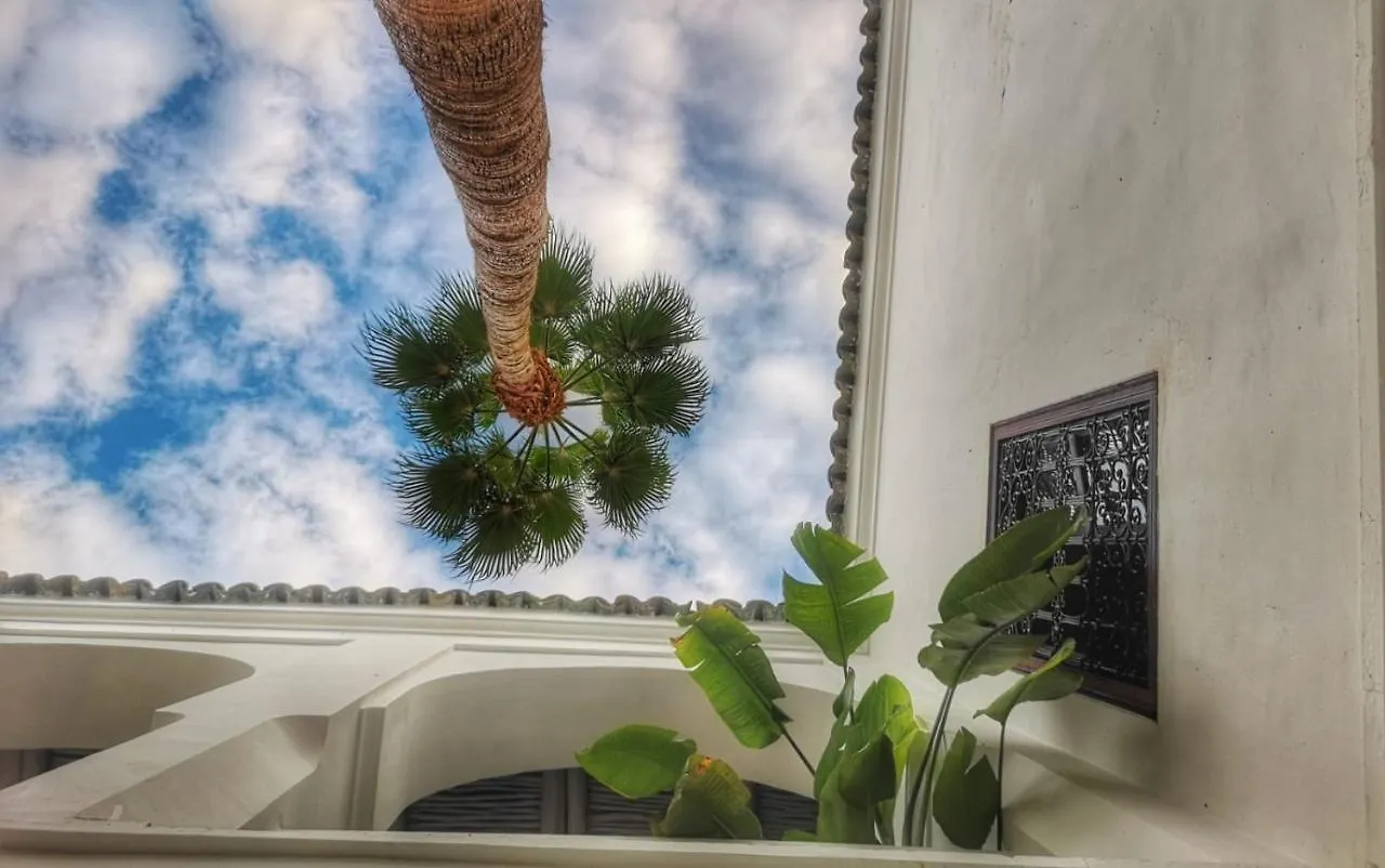 Dar Aurora Bed & Breakfast Marrakesh